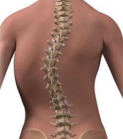 tratament eficient al coloanei vertebrale